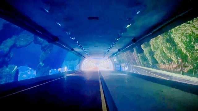 國(guó)內(nèi)最長(zhǎng)慢行景觀隧道正式開(kāi)通