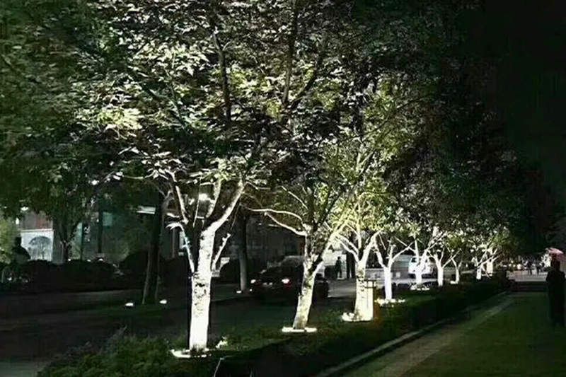 LED抱樹(shù)燈